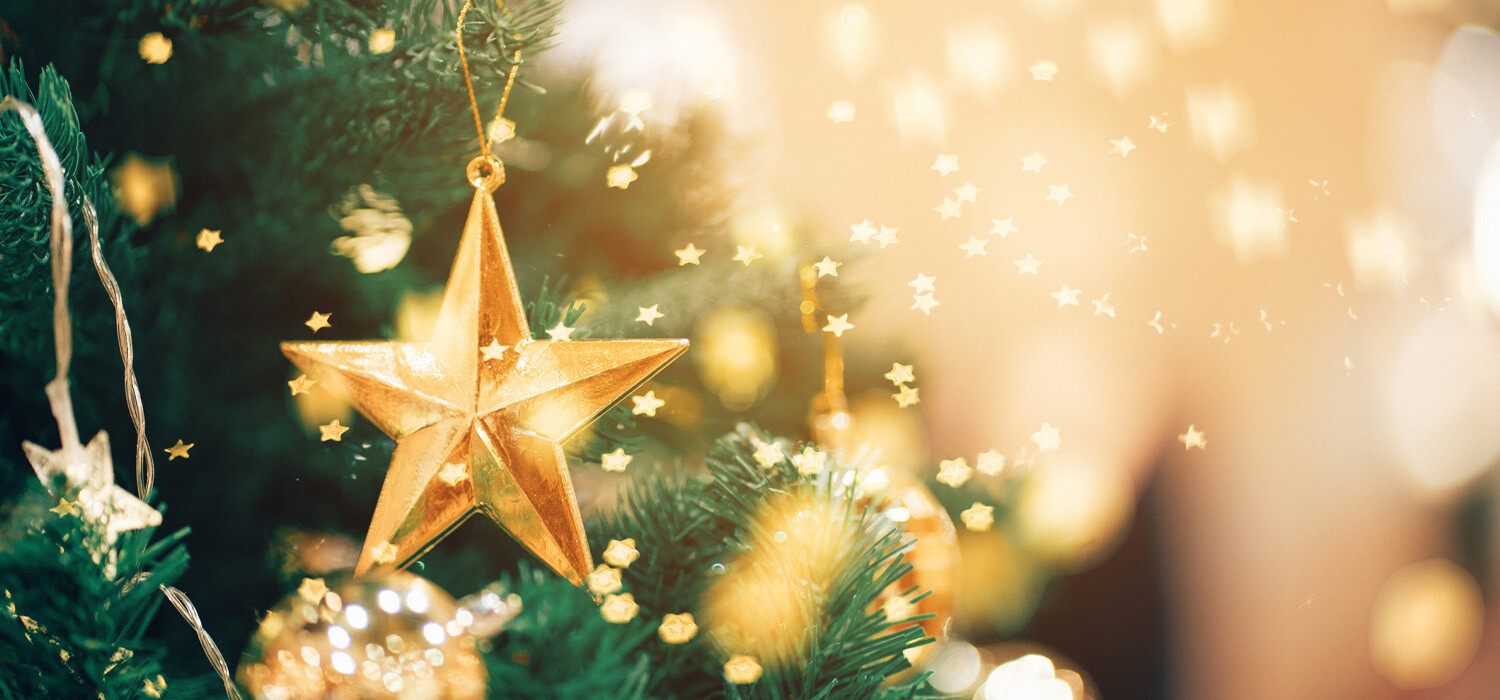 Laat uw kerstboom thuis bezorgen | Kerstbomen Hoofddorp