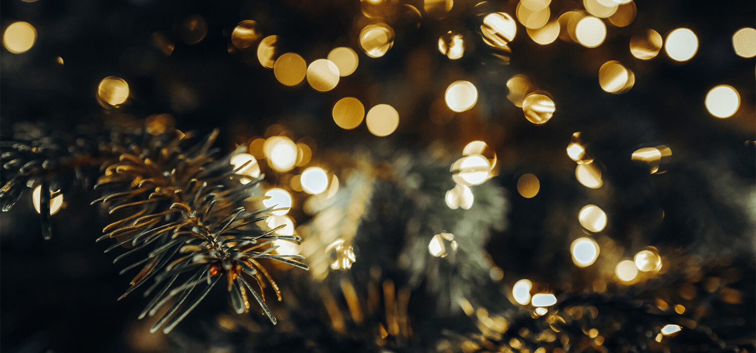 Huur een complete kerstboom | Kerstbomen Hoofddorp