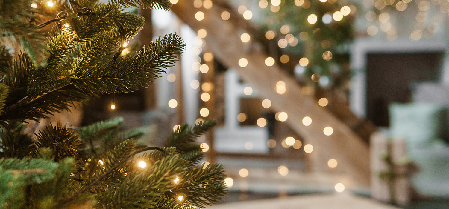 Order a real Christmas tree? | Kerstbomen Hoofddorp